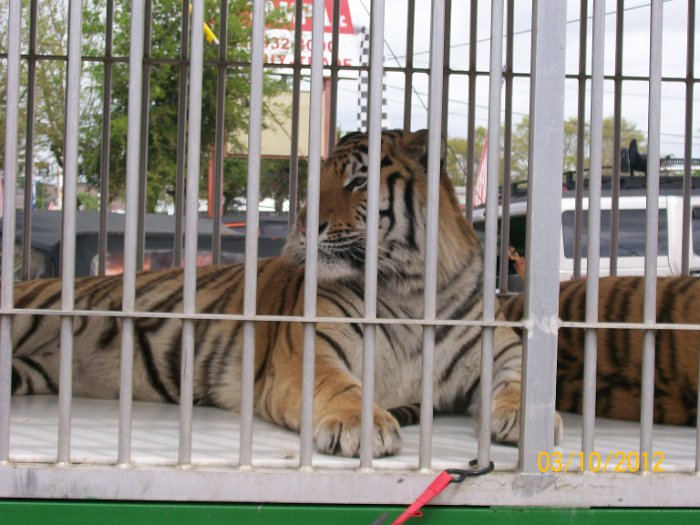 2012-Mar-10HGR4X4_4Wheelparts 018